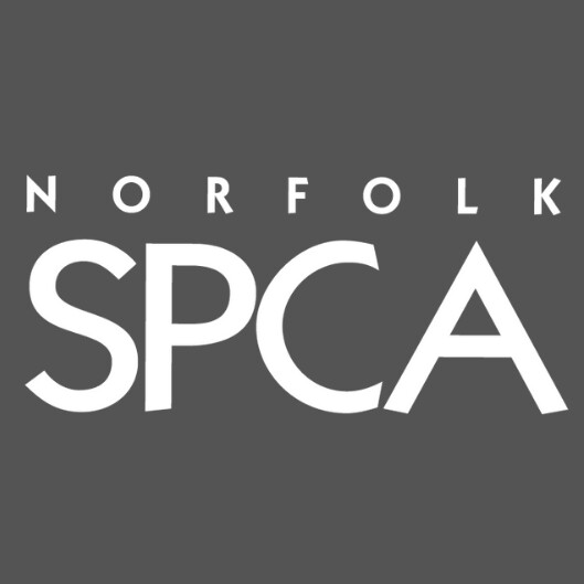Norfolk SPCA